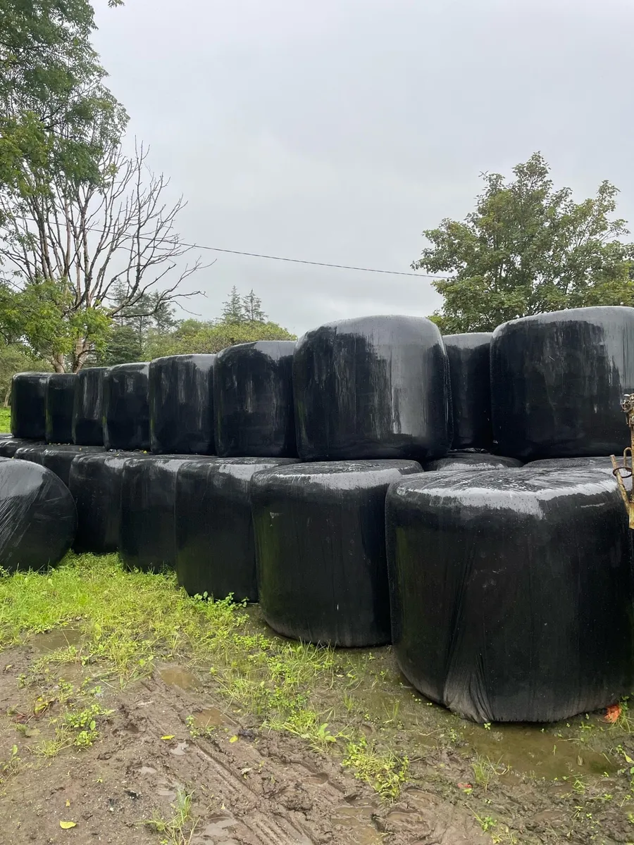 Silage/haylage - Image 2