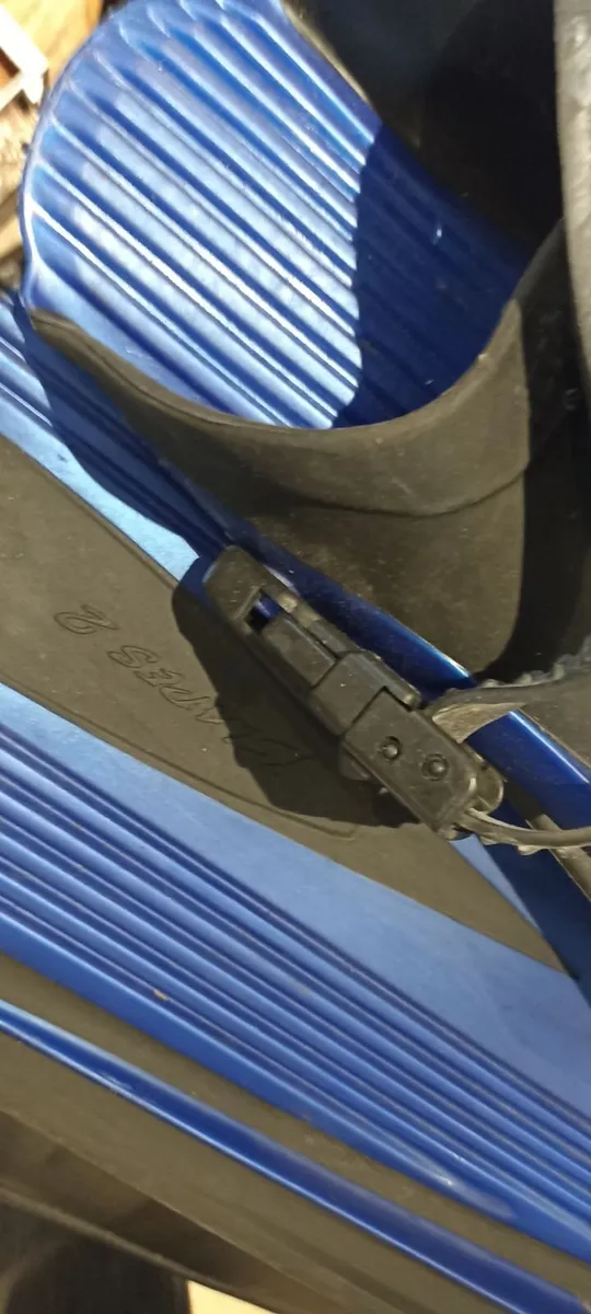 Pair of Flippers - Image 1