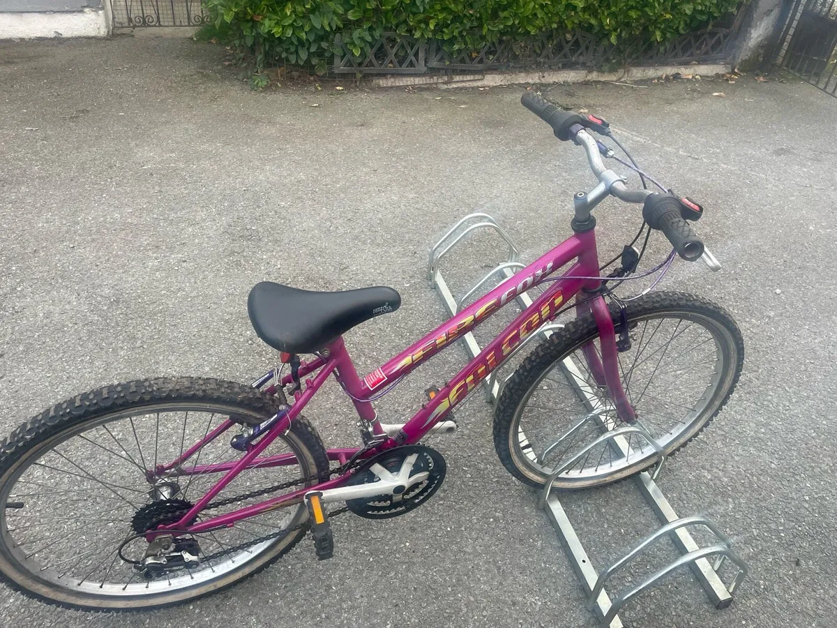 Girls bike 24inc - Image 2