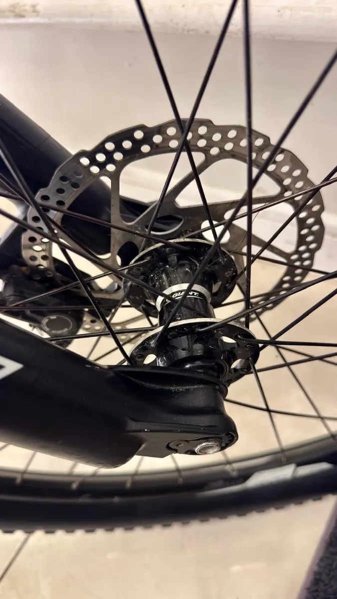 Mountain Bike - Image 3