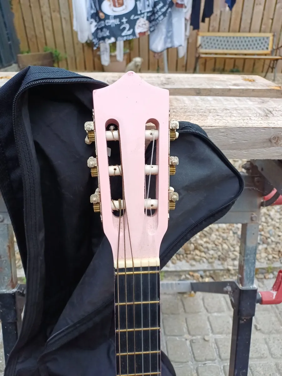 Herald HL34 Beginners Guitar - Image 2