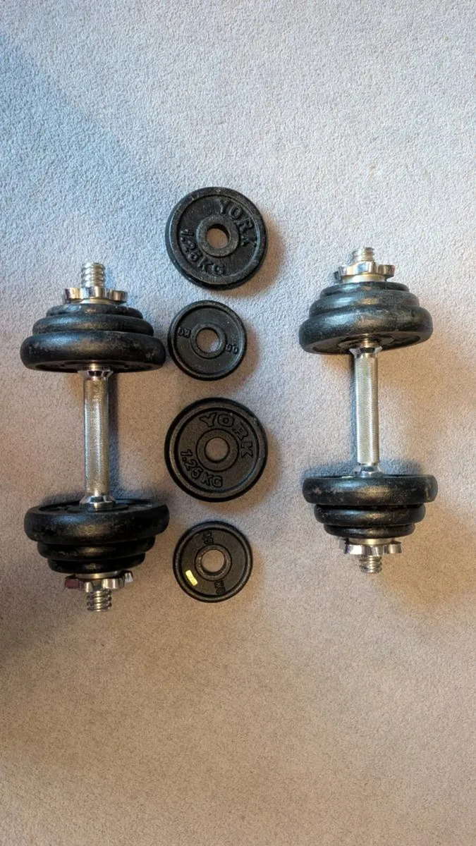York adjustable dumbbell set - Image 1