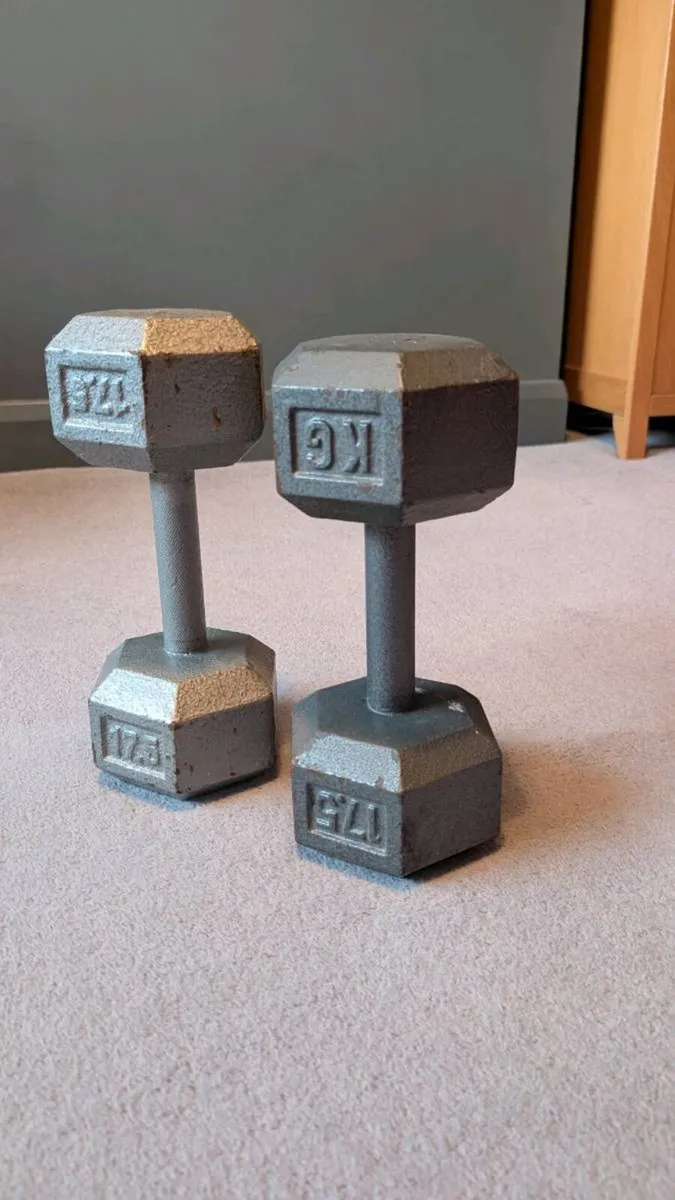 Pair of solid case iron dumbbells - Image 1