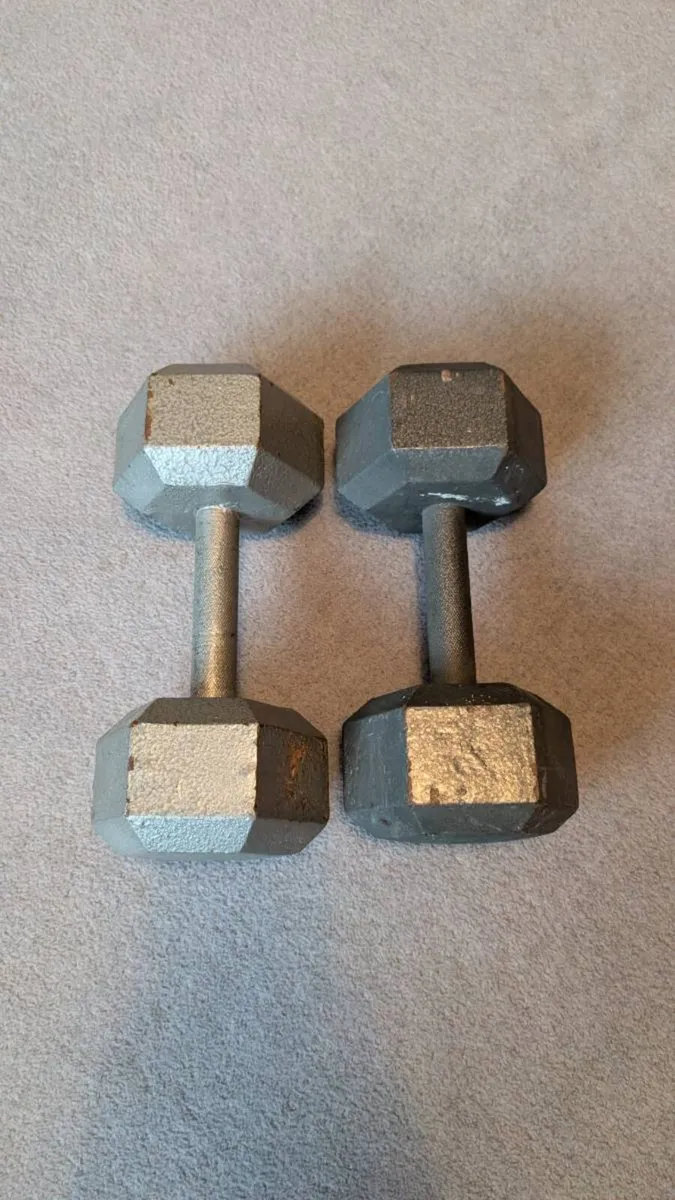 Pair of solid case iron dumbbells - Image 2
