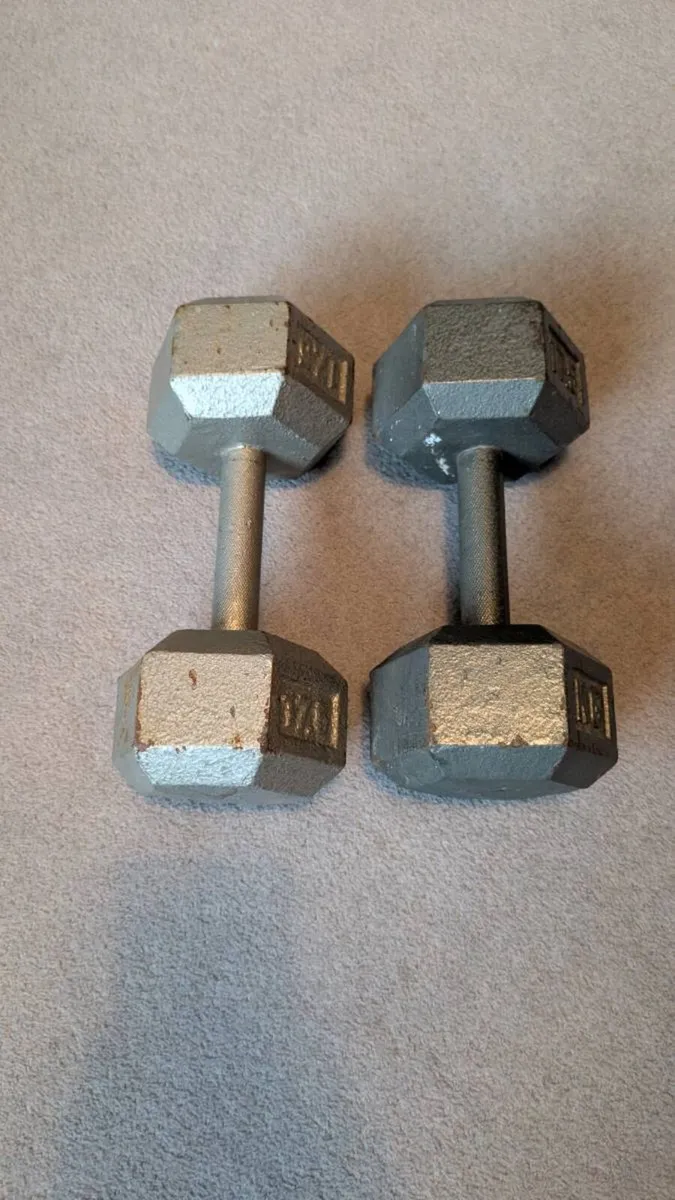 Pair of solid case iron dumbbells - Image 3