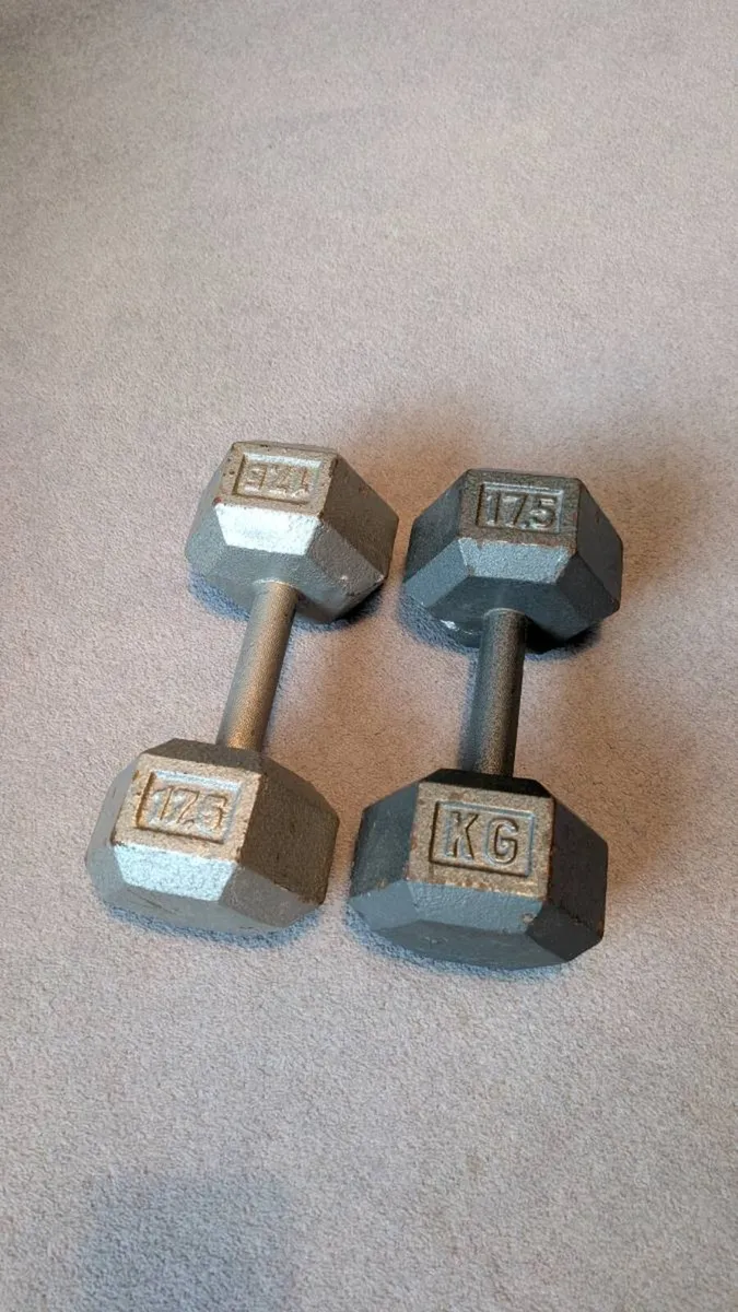 Pair of solid case iron dumbbells - Image 4