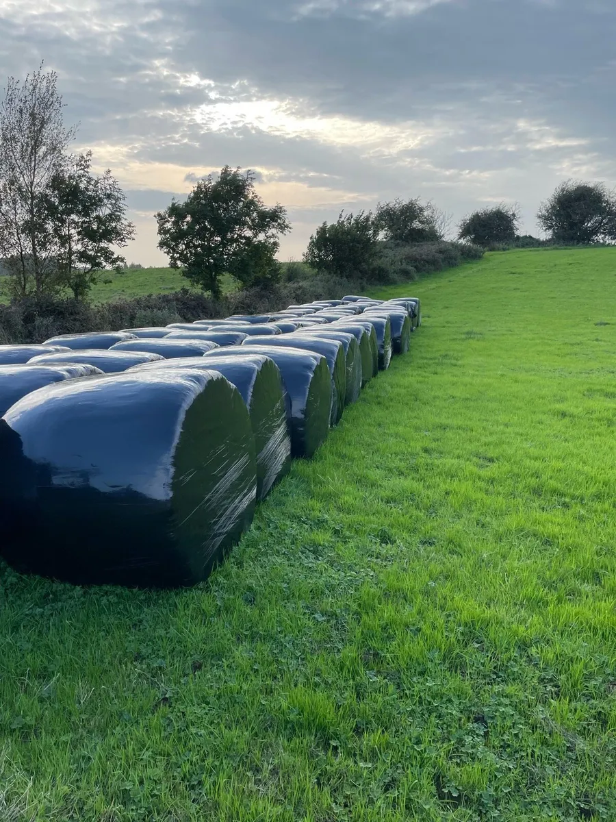 Silage Bales - Image 1