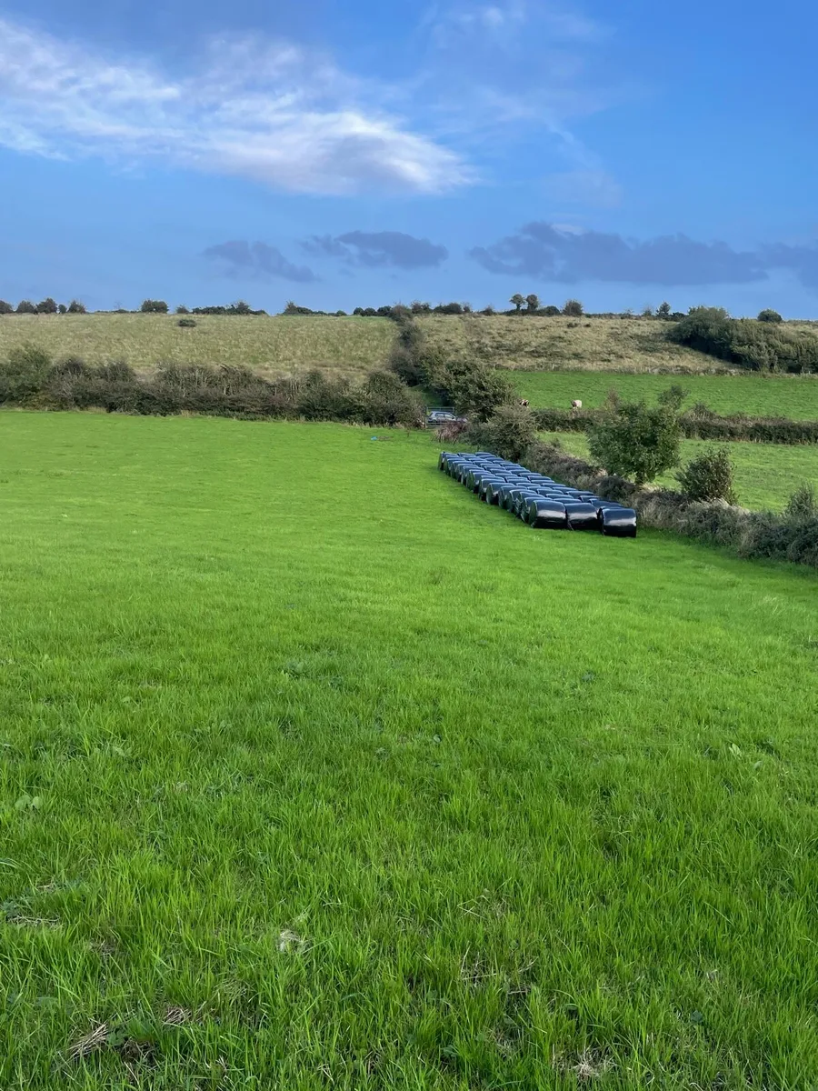 Silage Bales - Image 2
