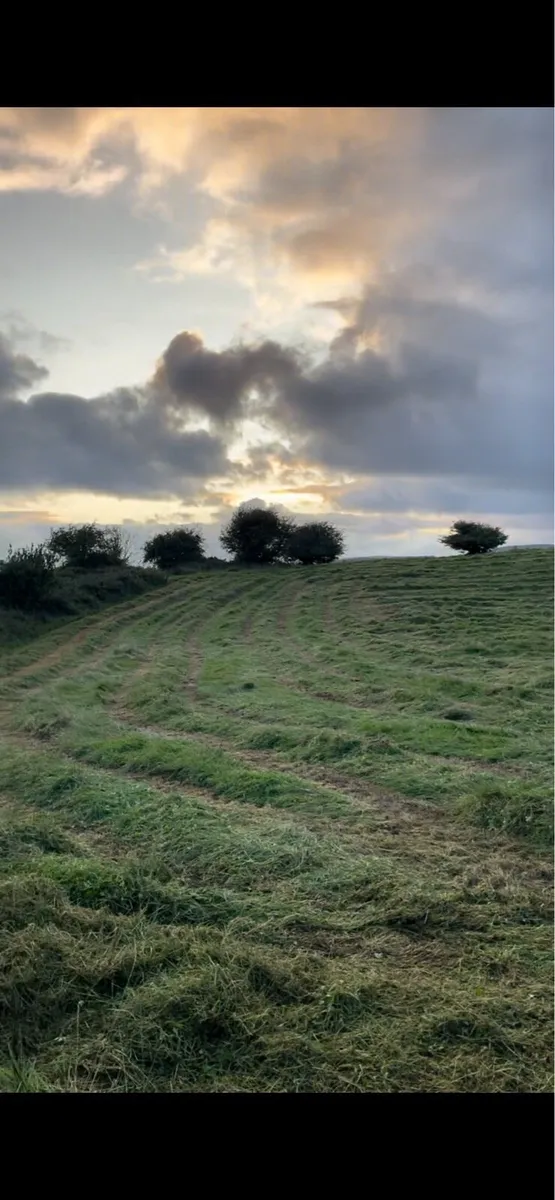 Silage Bales - Image 3