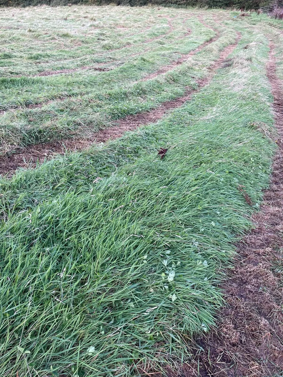 Silage Bales - Image 4