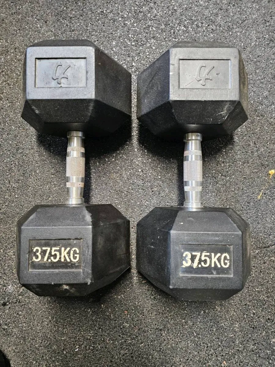 Weights ,dumbells - Image 2