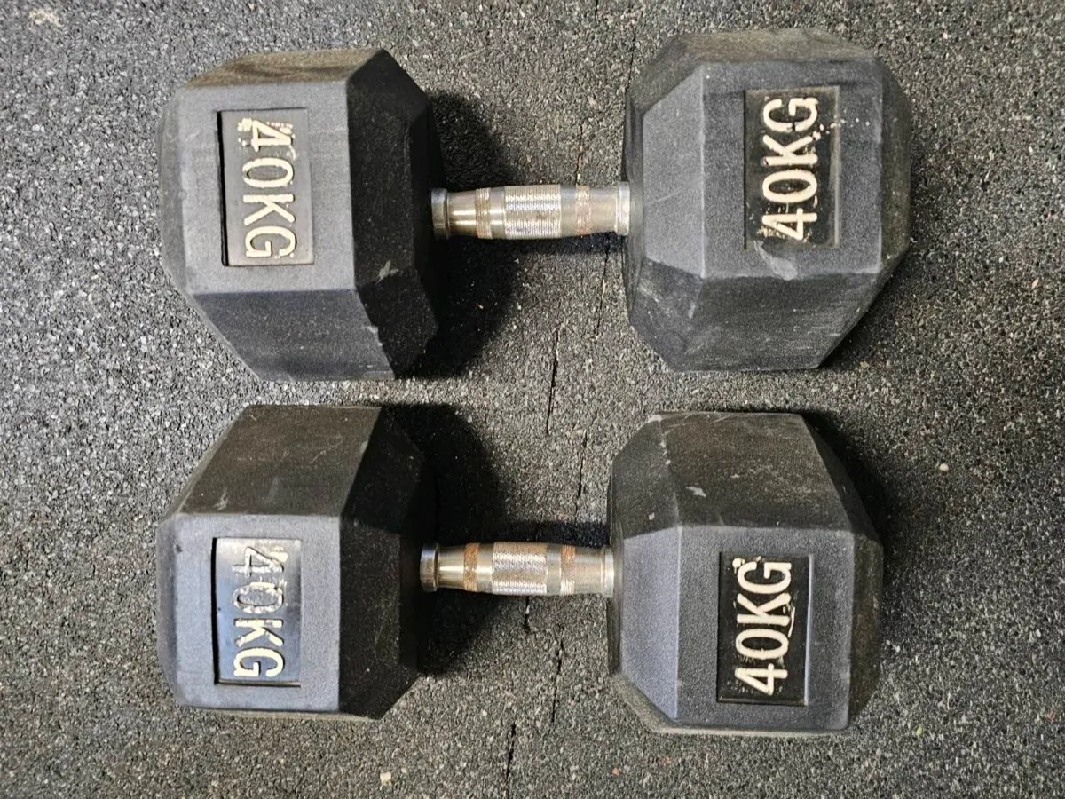 Weights ,dumbells - Image 1