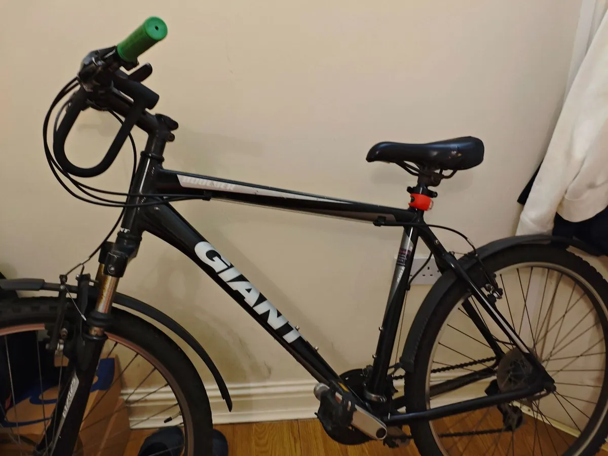 Adult Bike - Image 1