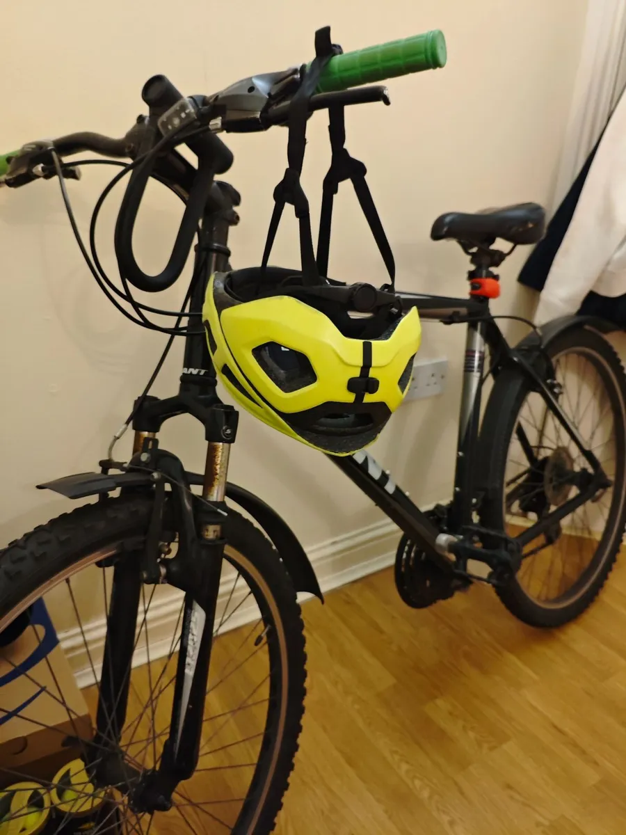 Adult Bike - Image 2