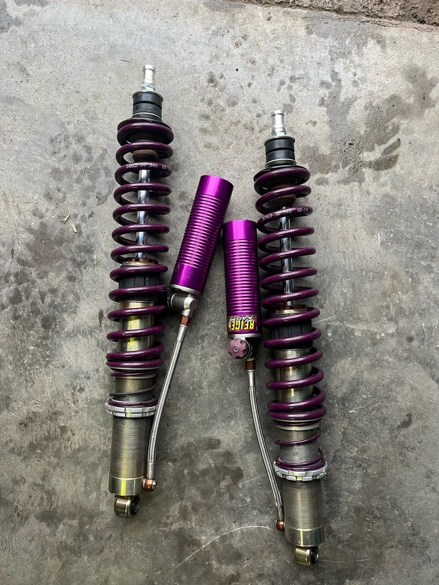3 way adjustable reiger shocks. - Image 1