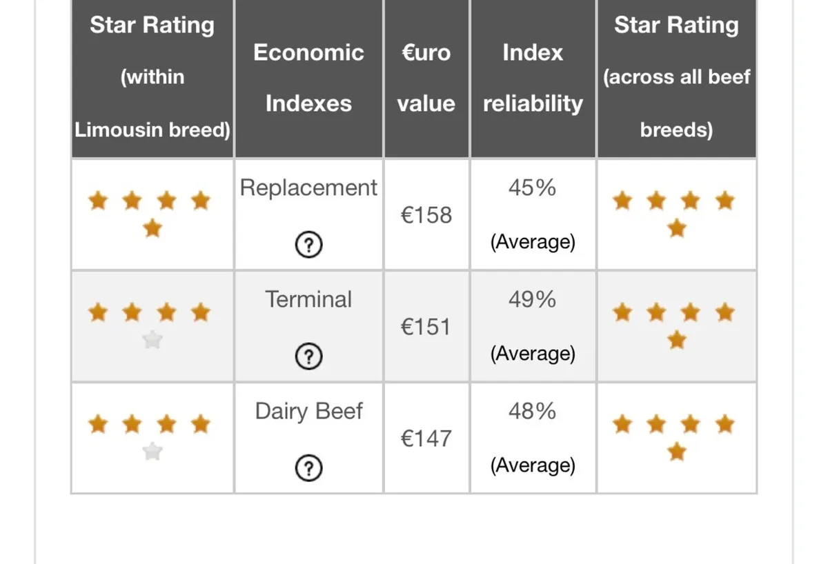 5* LM Bull - Image 4