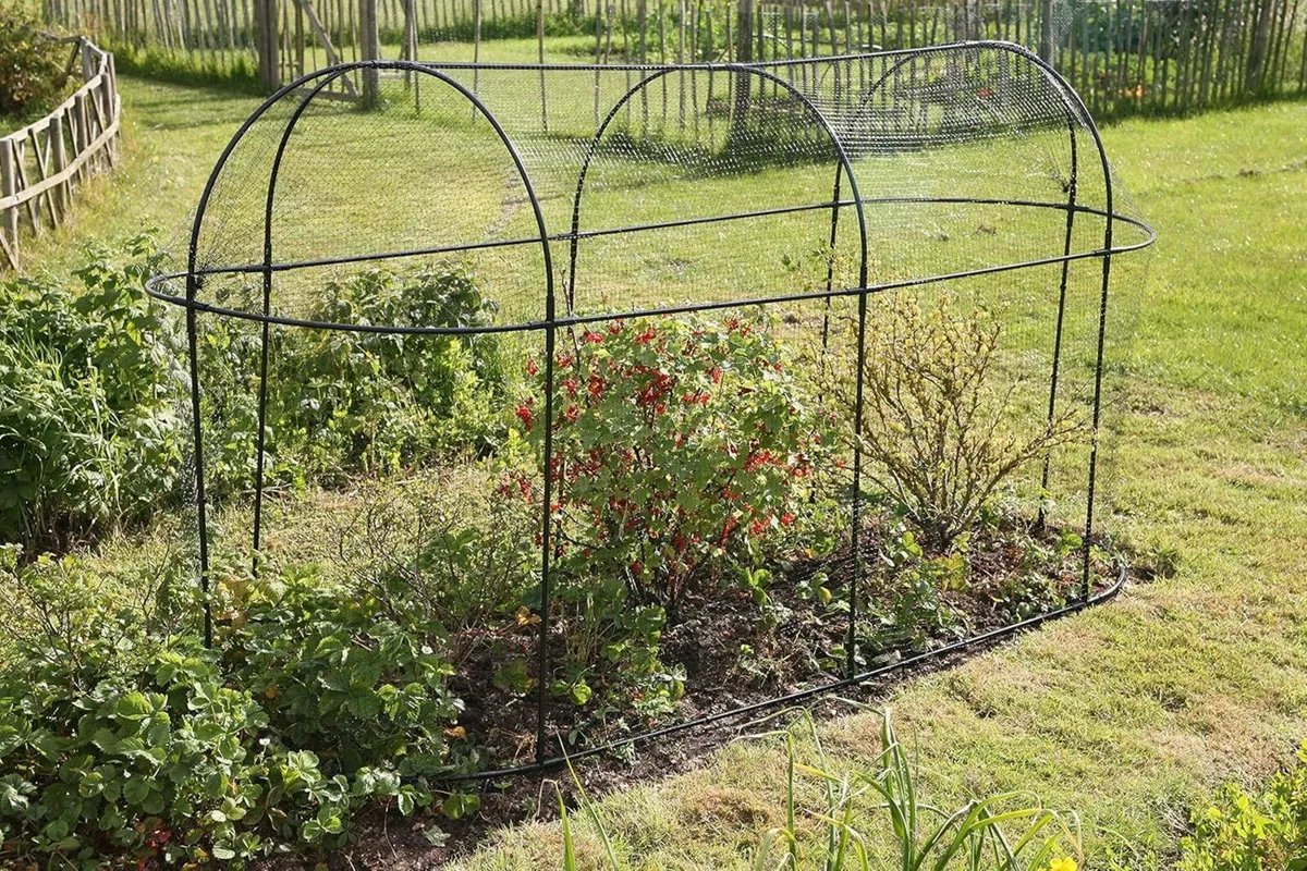 Steel Long Fruit Cage Frame with Bird Netting - Image 2