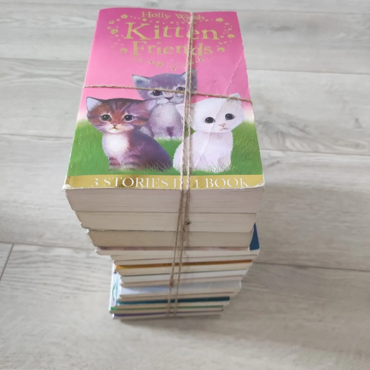 Kids Books –Holly Webb – 18 books - Image 2