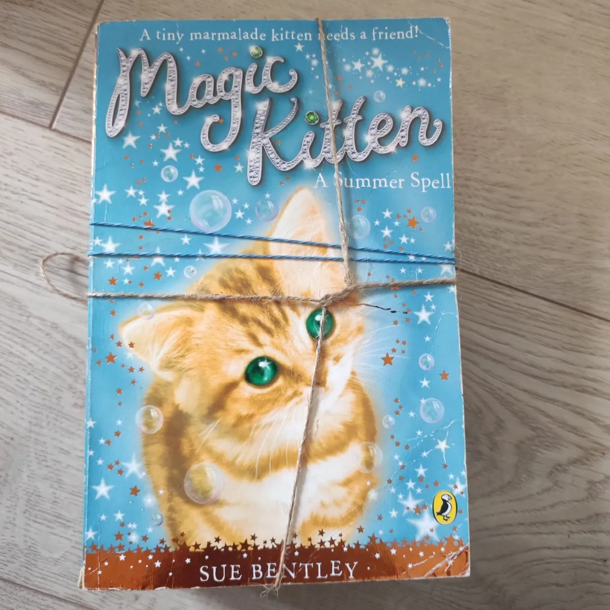 Kids Books –Sue Bentley –Magic Kitten, Magic Puppy - Image 1