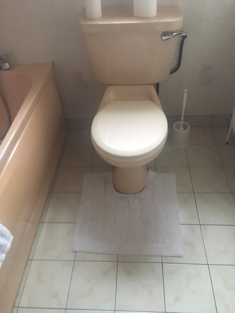 Bathroom Suite - Image 1
