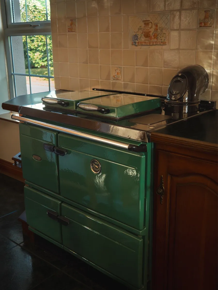 Stanley twin burner oil fire cooker