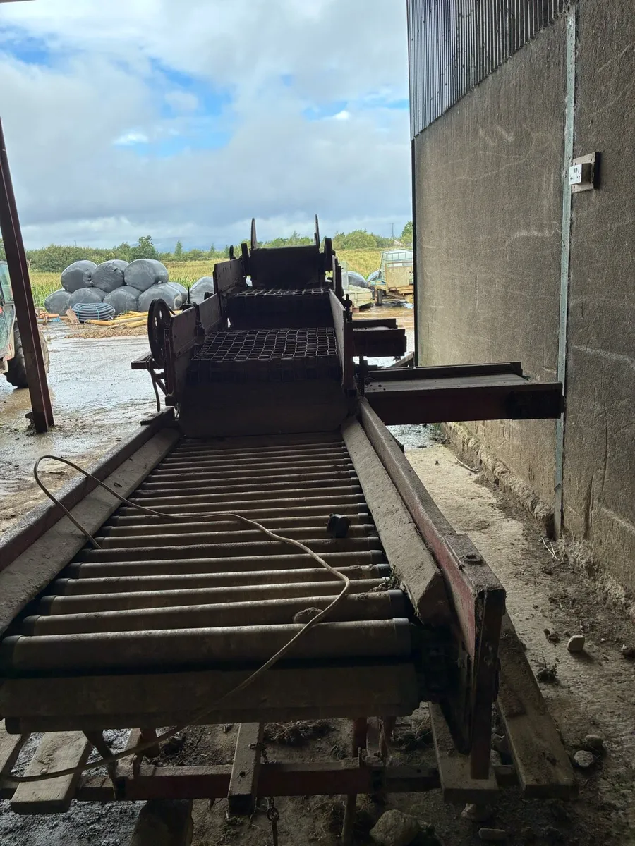 Tong potato grader - Image 3
