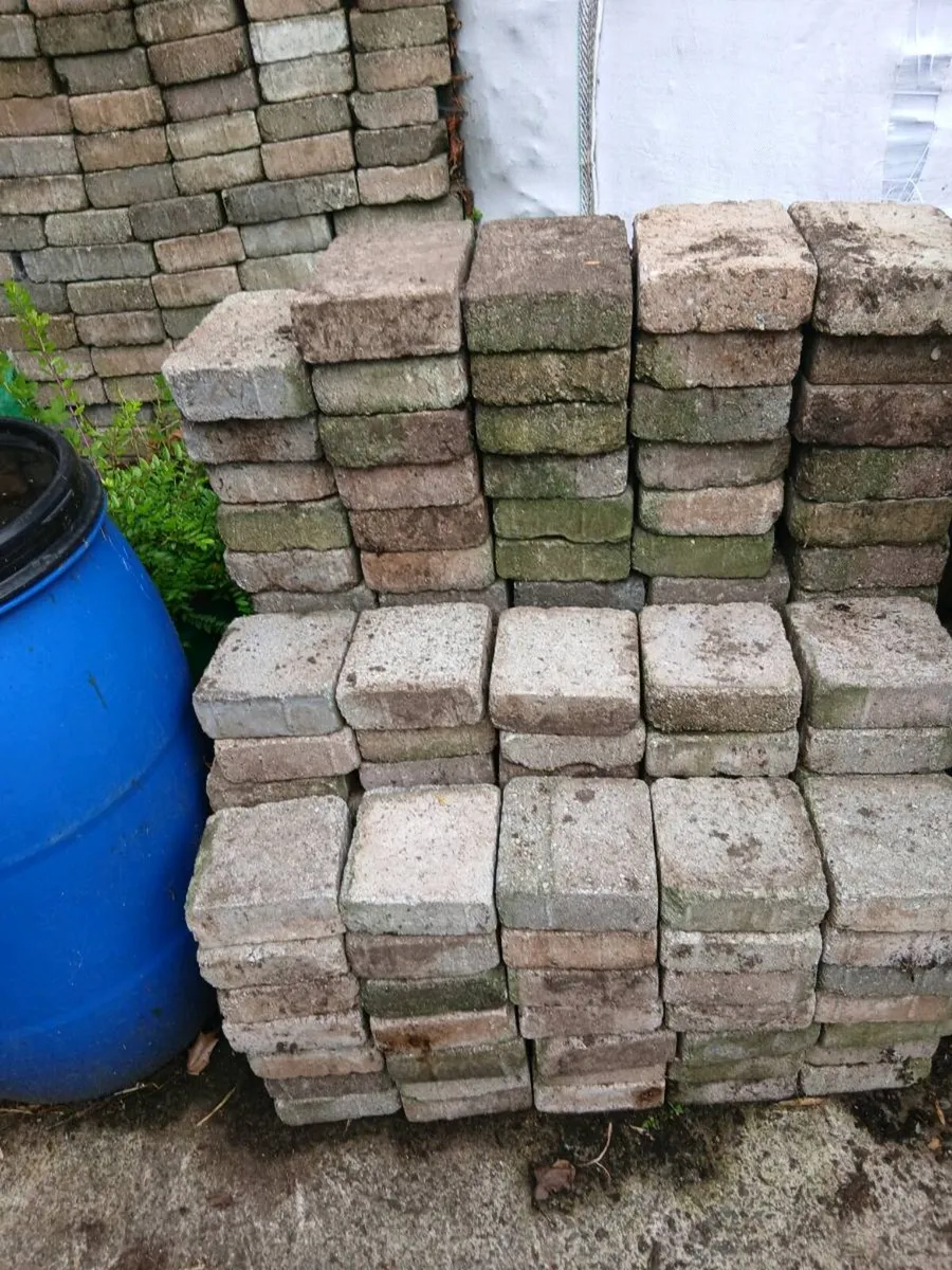 Paving bricks - Image 2