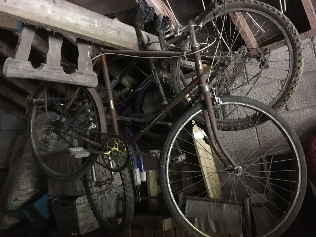Bicycle vintage