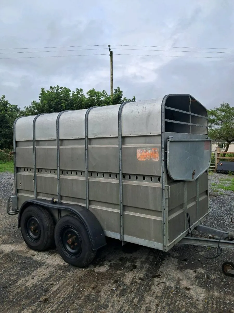 10ft Murphy livestock trailer - Image 1