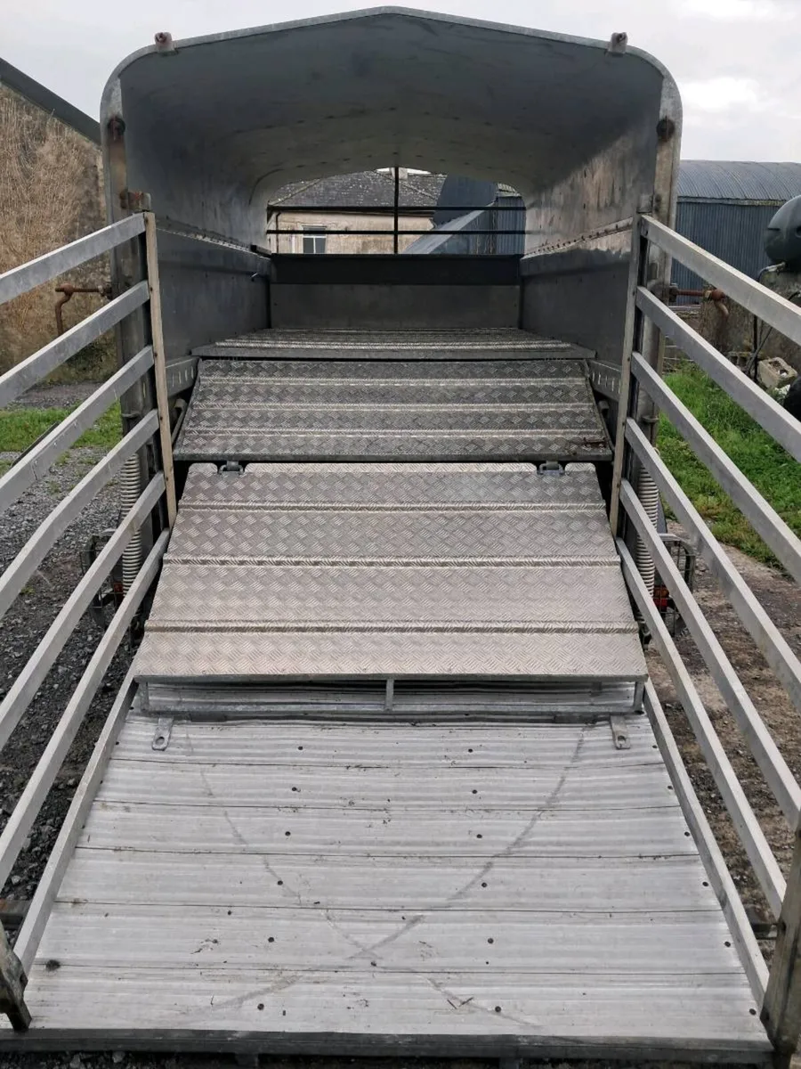 10ft Murphy livestock trailer - Image 2