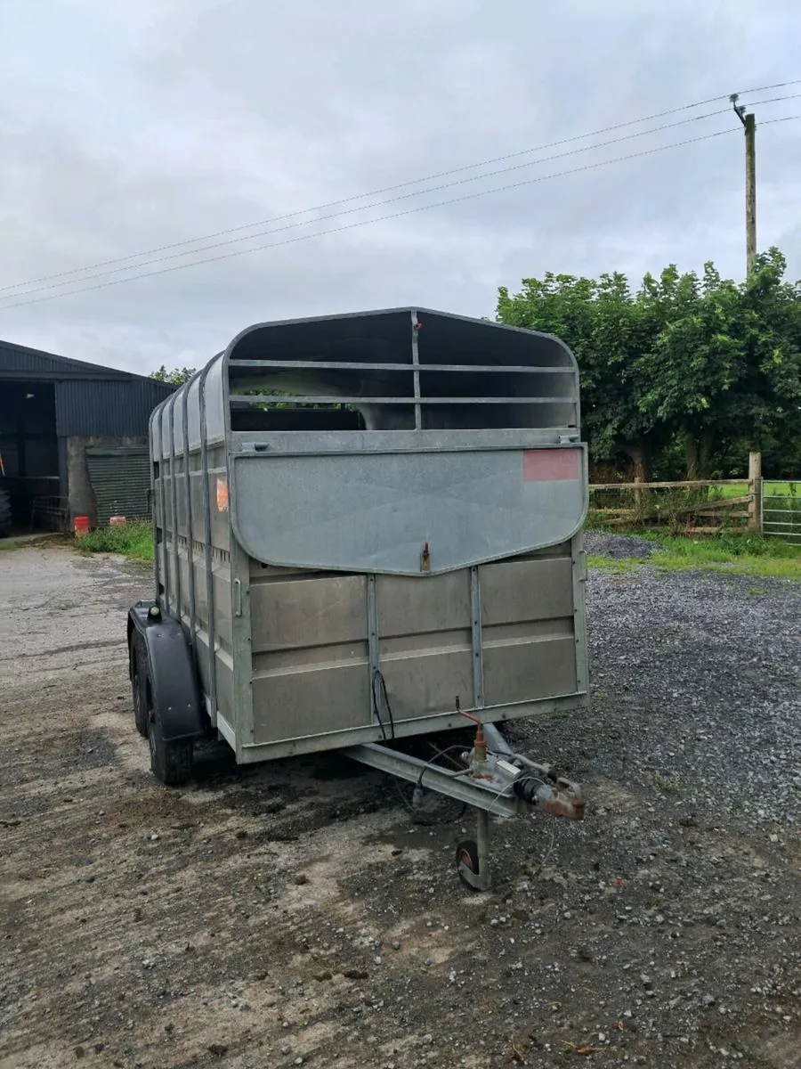 10ft Murphy livestock trailer - Image 3