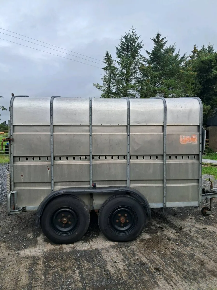 10ft Murphy livestock trailer - Image 4
