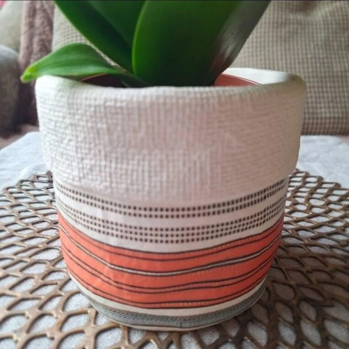 Beautiful Sansevieria Hahnii in decorative pot - Image 2