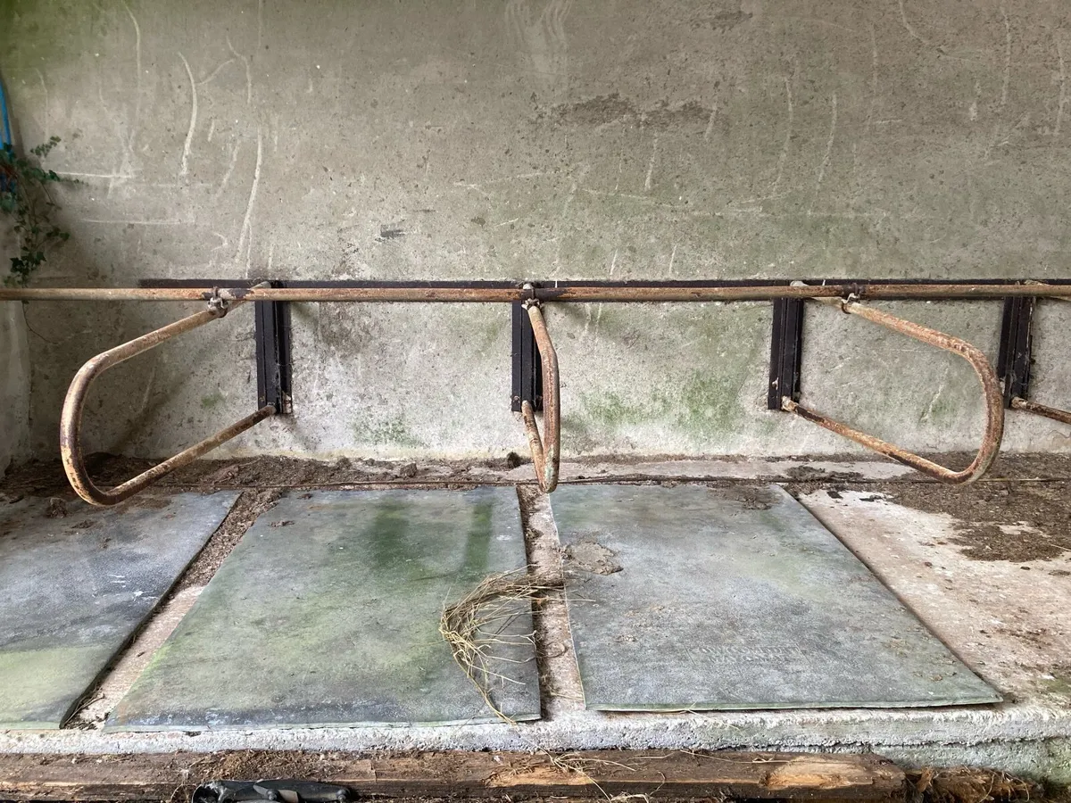 Cow Cubicles & Mats - Image 2