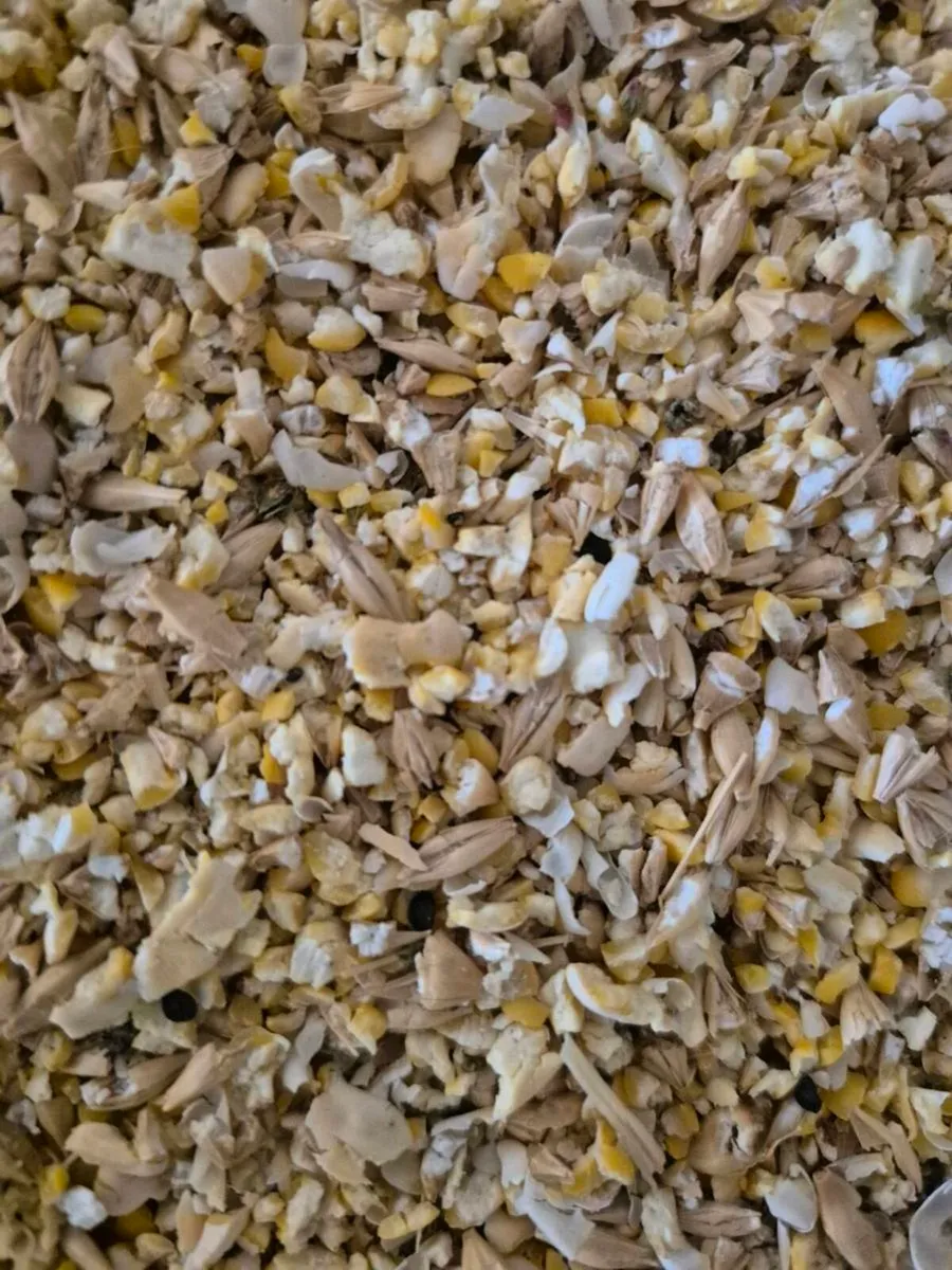 Pea/Barley combi crop, rolled and treated - Image 2