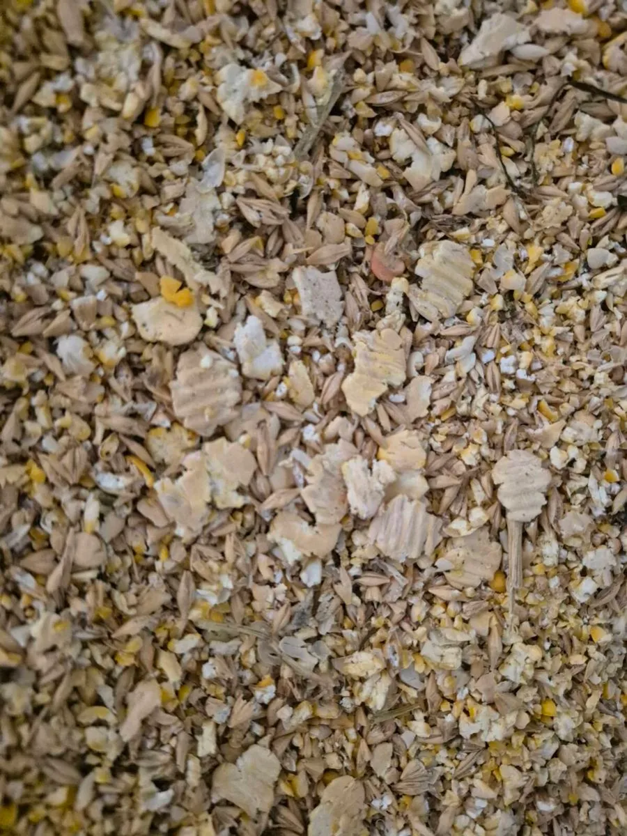 Pea/Barley combi crop, rolled and treated - Image 4