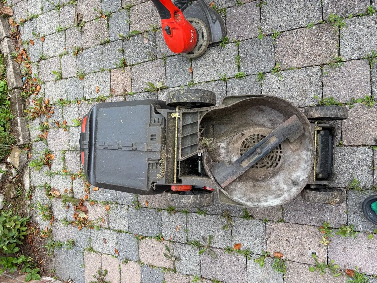 Lawnmower & Strimmer - Image 3