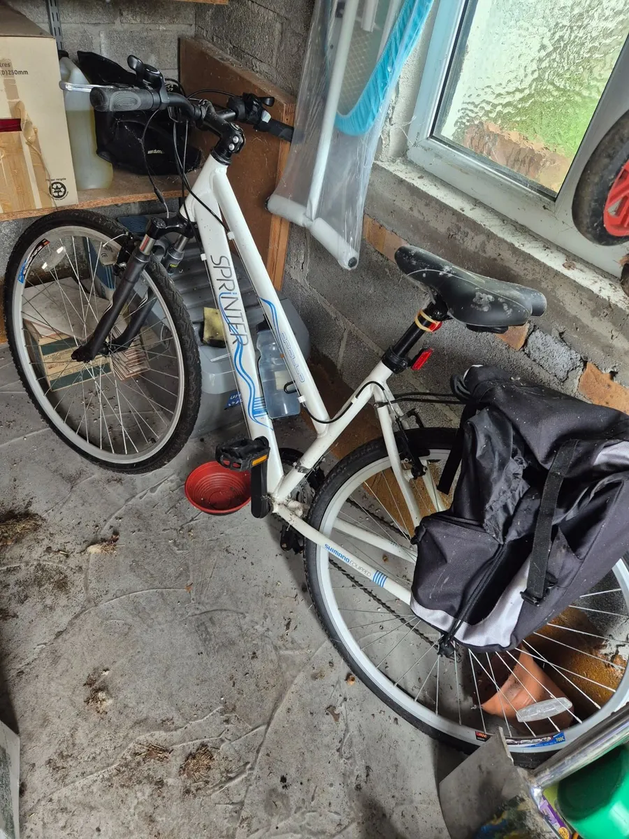 Ladies Bicycle
