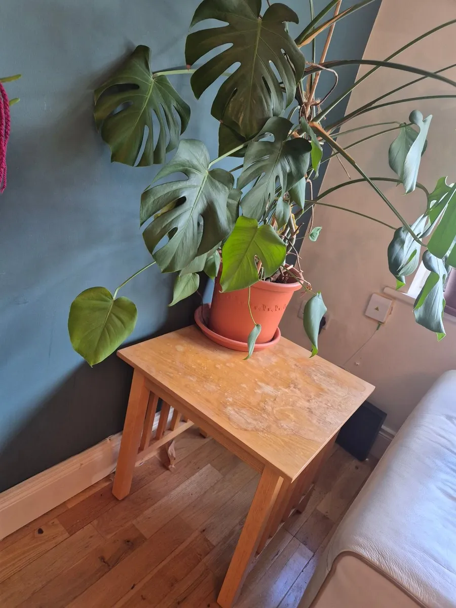 2 x Oak Side Tables - Image 3