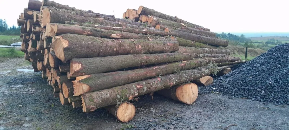 Firewood - Image 4