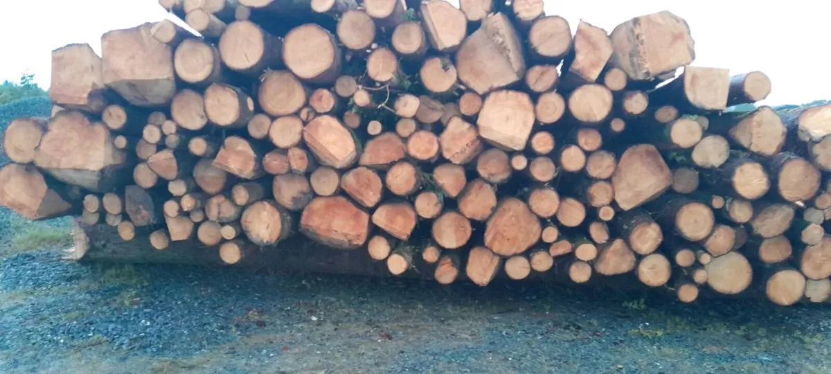 Firewood - Image 1