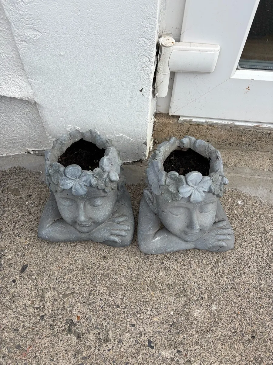 2 x flower pots + flowers viola in them - Image 3