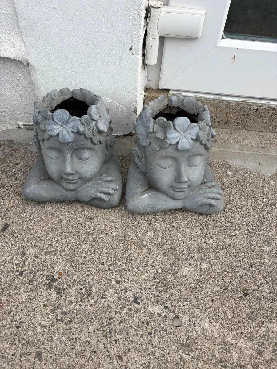 2 x flower pots + flowers viola in them - Image 1