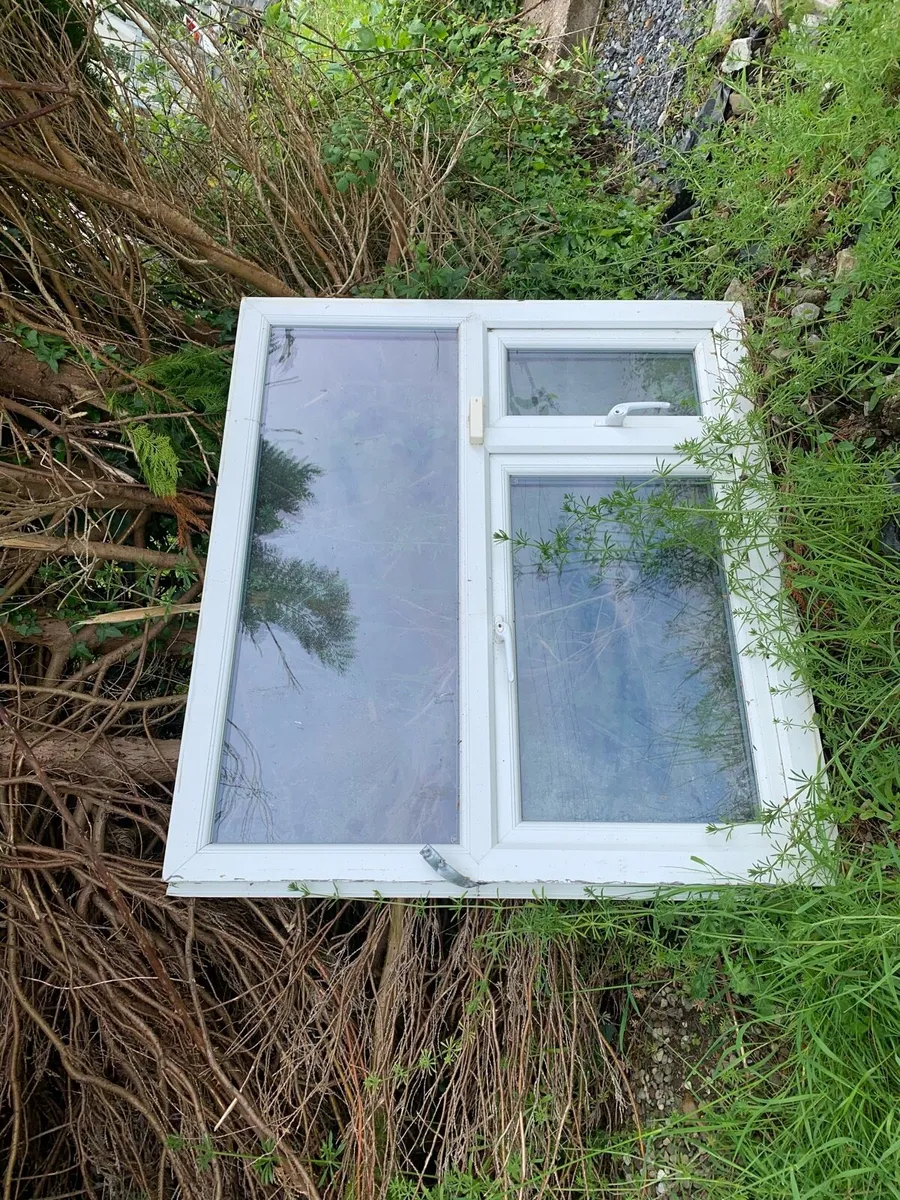 Window