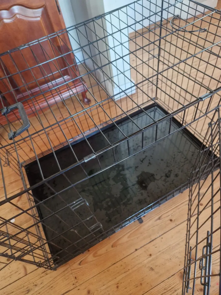 Dog crate used for 3 months - Image 4