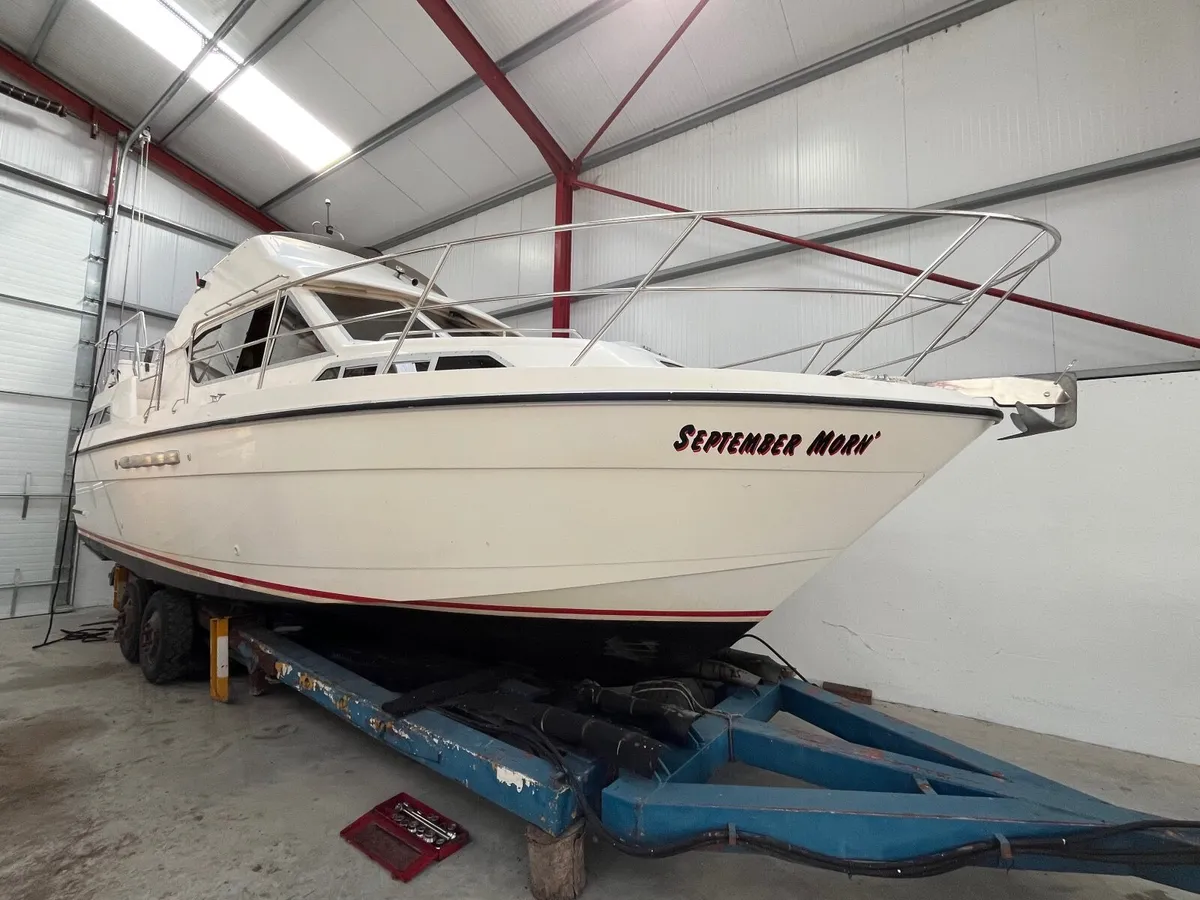BROOM 31 - Image 1