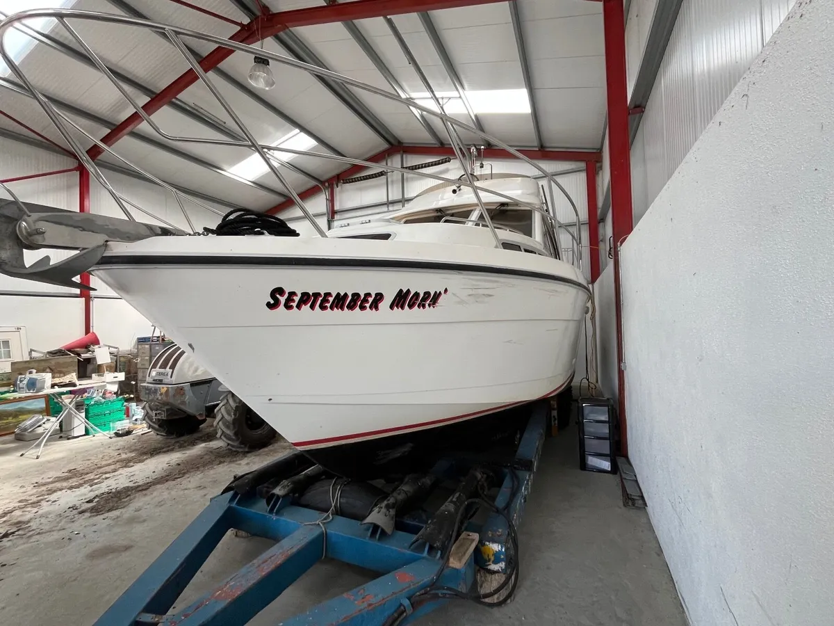 BROOM 31 - Image 2