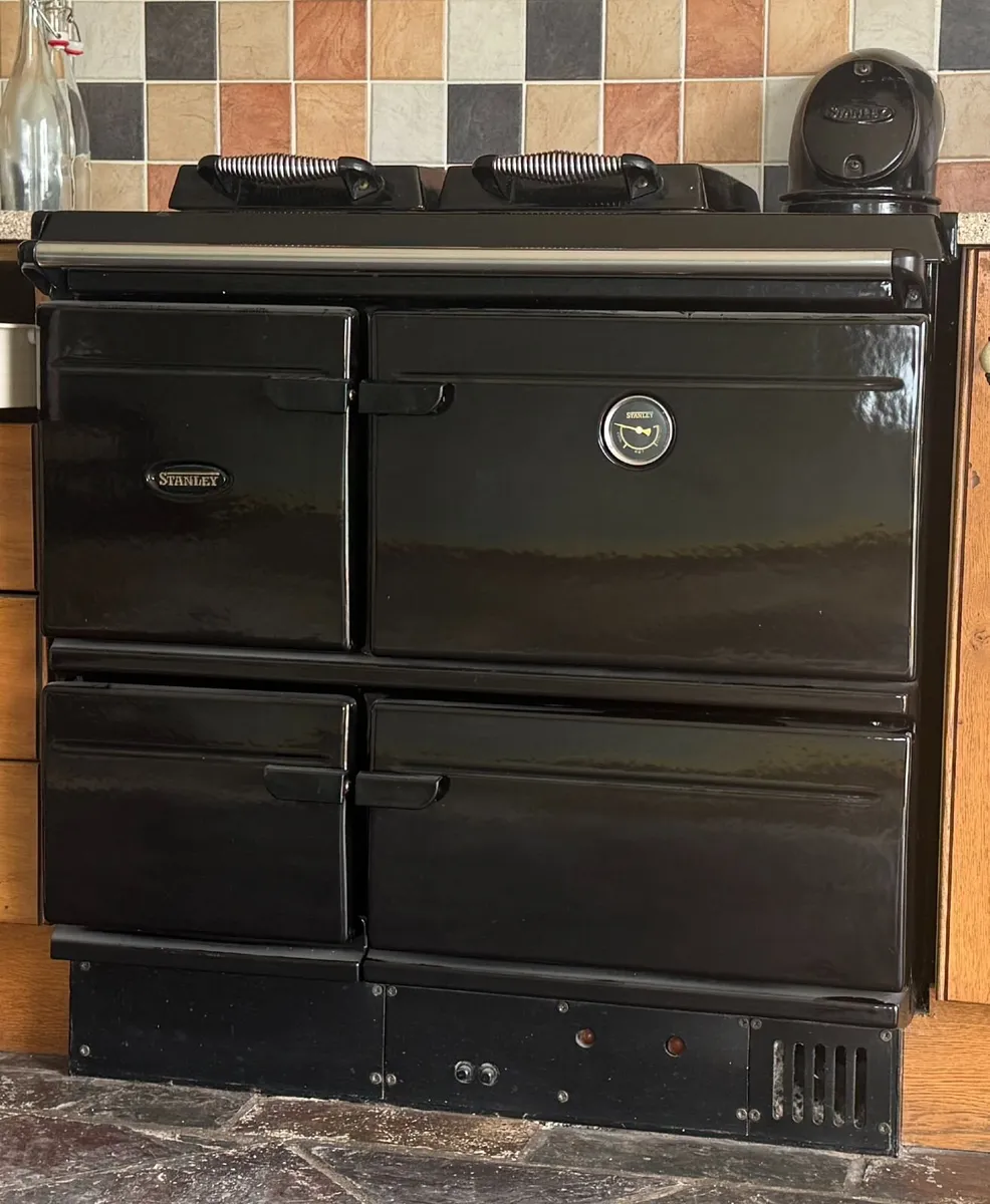 Stanley Brandon twin burner oil cooker 100 BTU - Image 1