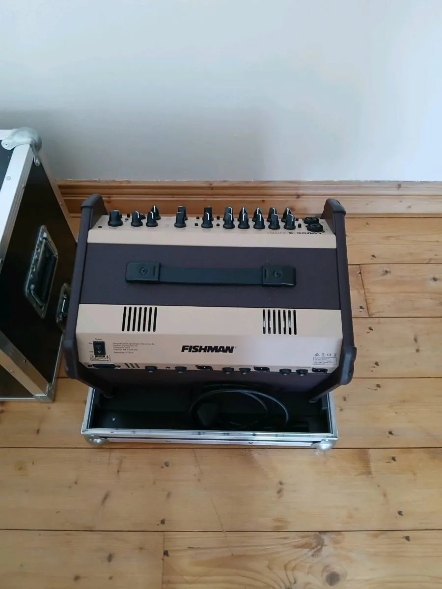 Fishmann Artist and Thon Flight case - Image 3