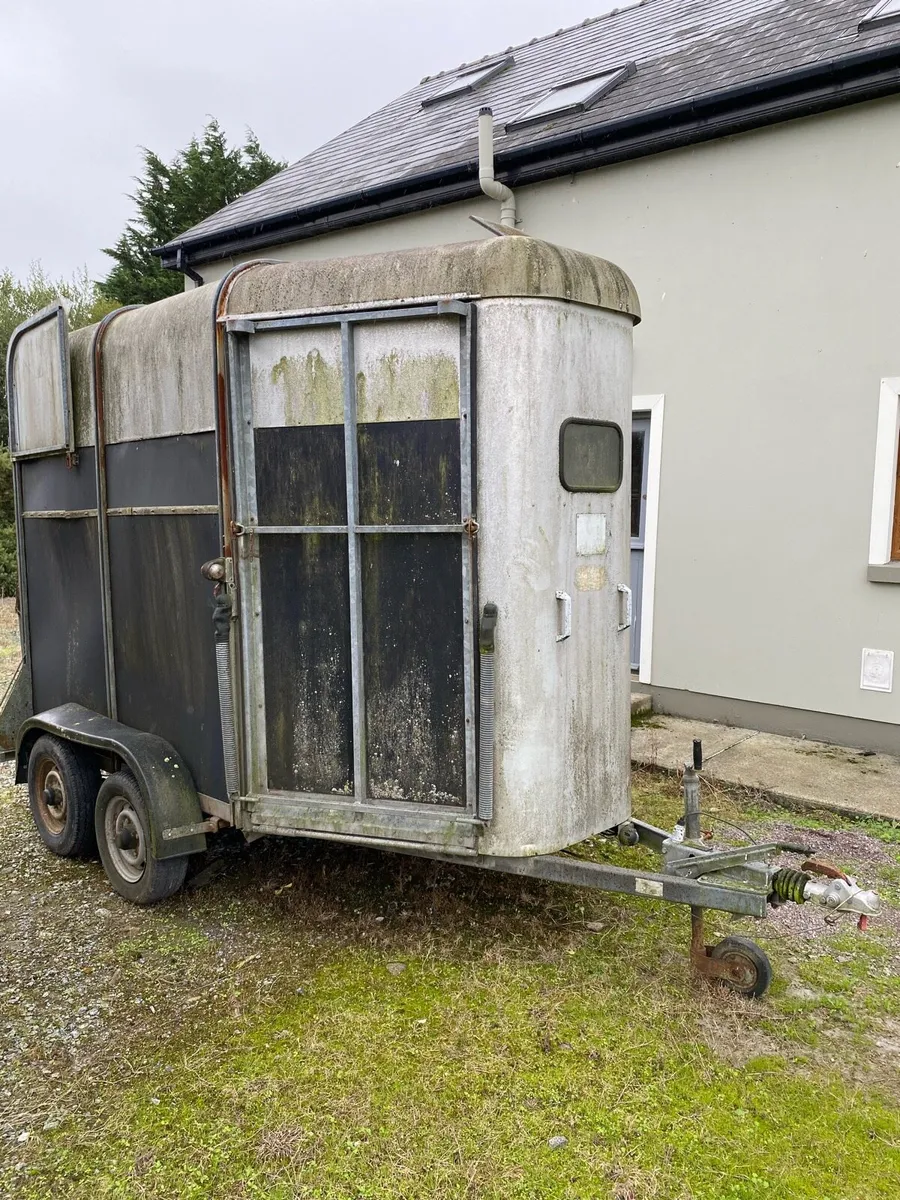 I For Williams Horsebox